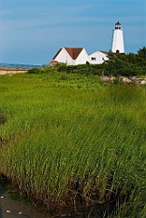 Lynde Point Lighthouse in Grassy Marsh in Connecticut